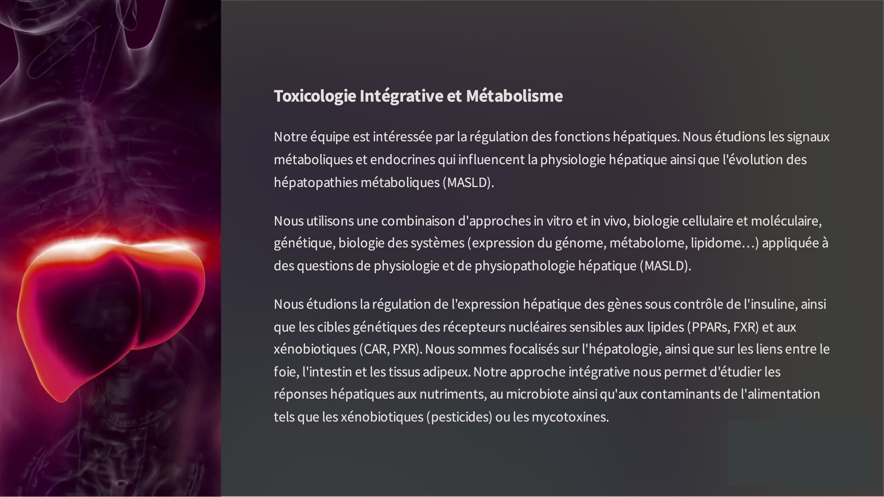 TIM-recherche-fr